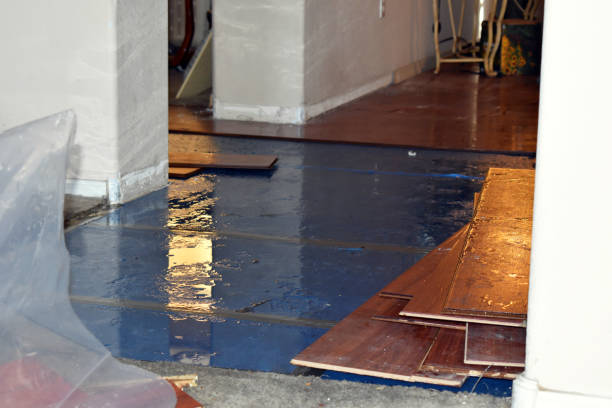 Professional Flood Cleanup technician working in Columbus, TX